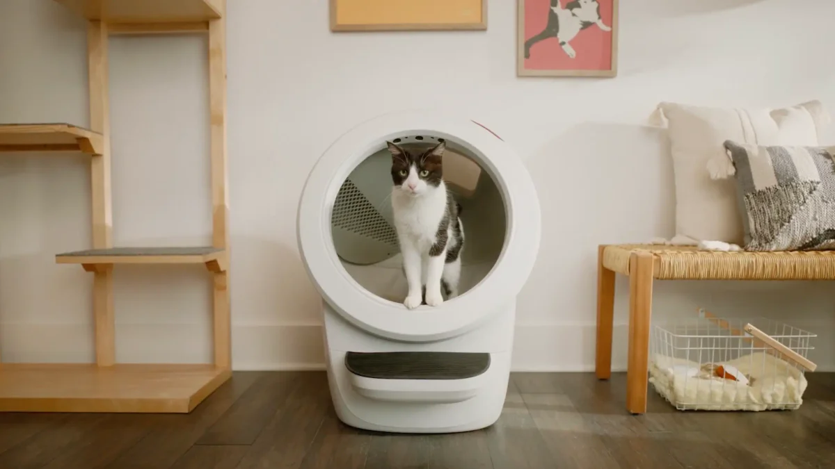 Whisker Litter-Robot 4 con escalón y valla (negro) foto 2