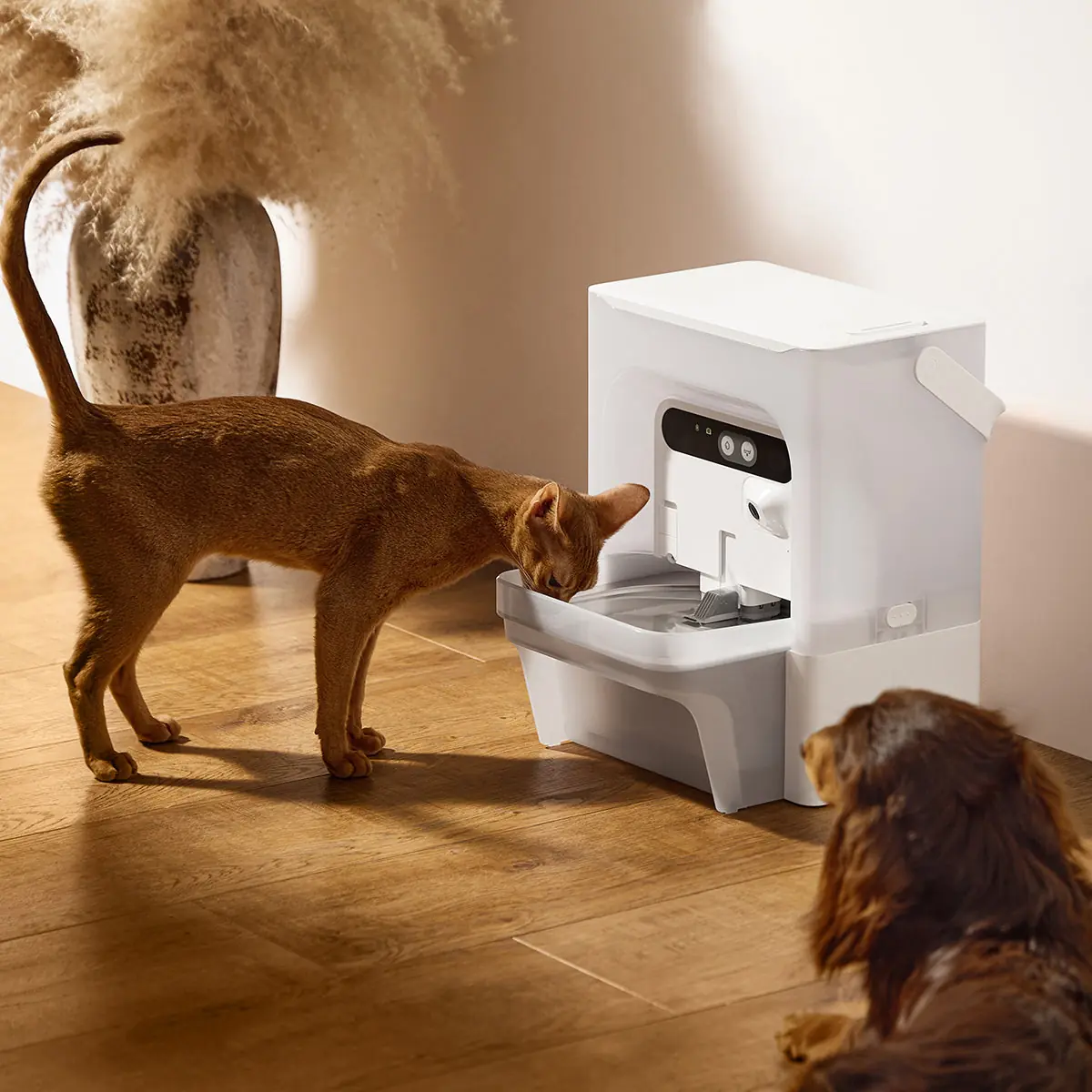 PETKIT Automatic Cat Feeder with Camera, 1080P HD