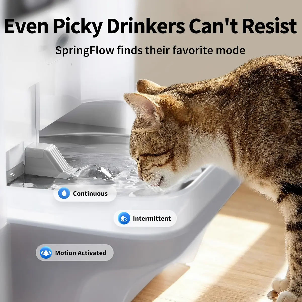 PETKIT EVERSWEET Fuente Automática para Gatos 1,85L foto 2