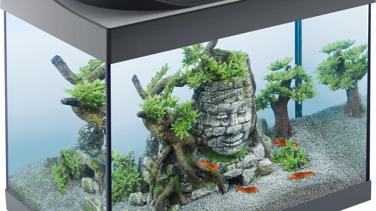 Tetra Starter Line LED 54 L — kit de acuario completo con luz día/noche