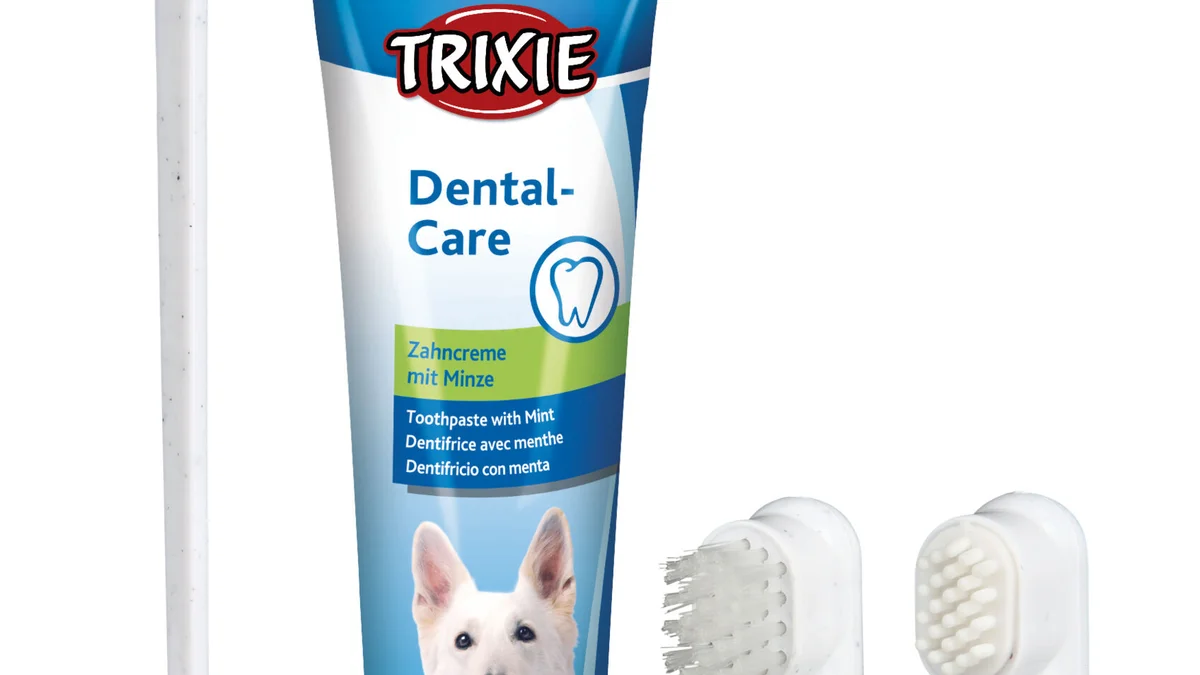 TRIXIE Set Higiene Dental para Perros, modelo 2561: kit de 4 piezas con pasta dental de menta de 100 g, cepillo de dedo, cepillo de masajeo de encías y cepillo doble con dos cabezas (grande para incisivos, pequeña para molares). Declaración del fabricante: ayuda a reducir la placa y el sarro y a mantener el aliento fresco