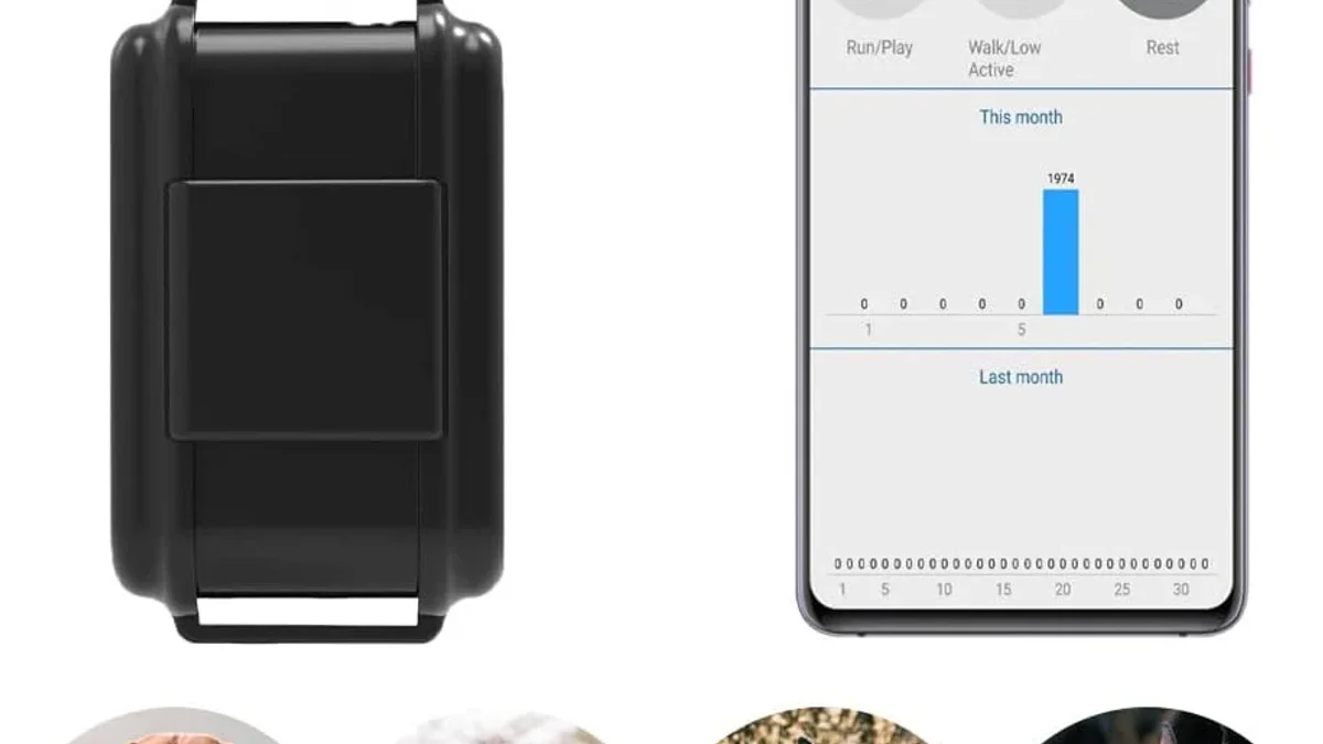 WINNES TK919Pro 4G GPS Tracker Dog Collar foto 3